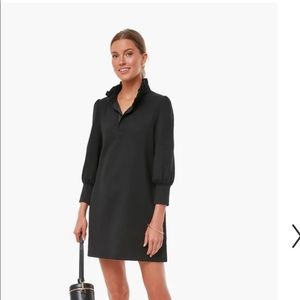 Adorable TUCKERNUCK dress!